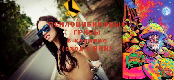 эйфоретик Арсеньев