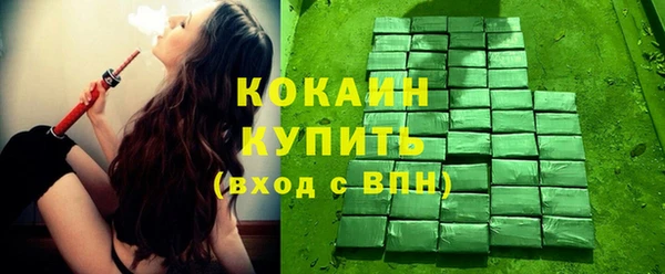 эйфоретик Арсеньев