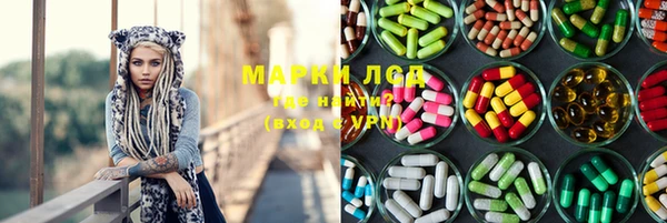 apvp Алзамай